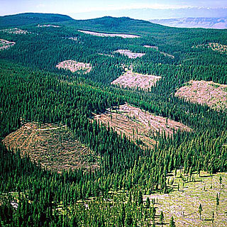 Indian Creek clearcuts - Wallowa-Whitman NF
