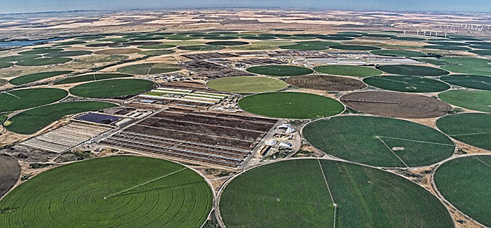 RD Offutt Threemile Farms - Boardman Oregon