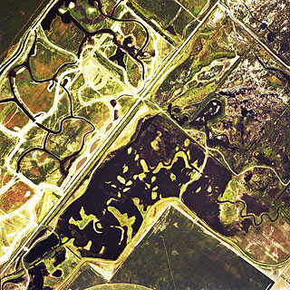 Ladd Marsh restoration