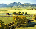 Savis Ranch