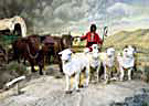 Oregon Trail display