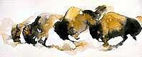 Amy Poor Buffalo art