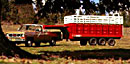 trailer marketing