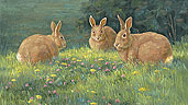 Linda Elliott art