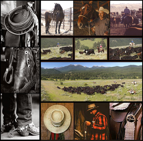 Wilson Cattle Company Beef Northwest Feeders Photo Display By