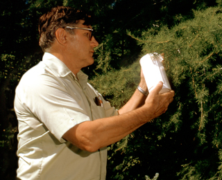 Releasing Agathis wasp in Oregon's Blue Mountains