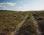 Oregon Trail ruts