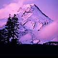 Mt. Hood dawn