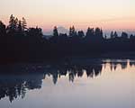 Willamette Rive Dawn