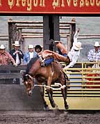 Bronc Rider