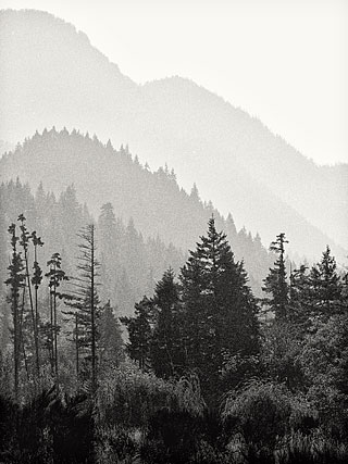 Columbia Gorge mountain fog