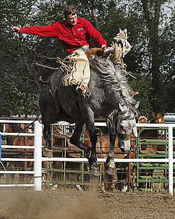 Bronc Rider Ross Hartman