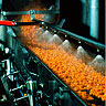Smith Foods Carrot Processing