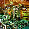 Panel Board Plant