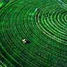 Crop Circle Haying