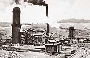 Palmer Sawmill