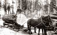 Winter Horse Logging