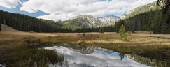 West Eagle Meadow - Wallowa Whitman NF