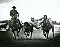 Harry Charters bulldogging