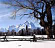 Teton Winter