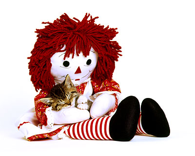 Raggedy Ann andSleeping Kitten