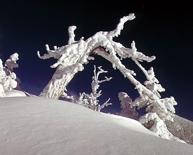 Teton Mountain Reflection